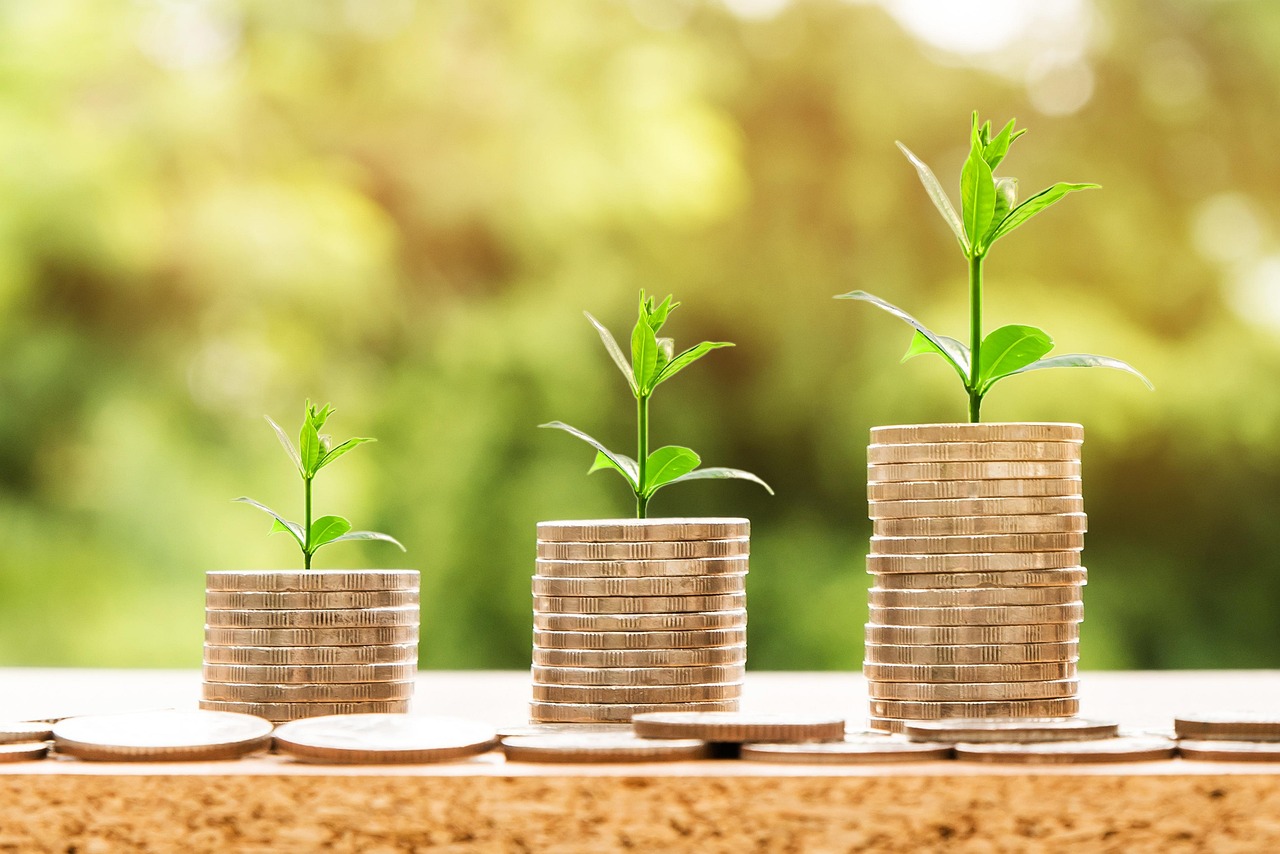 A small green plant growing out of a stack of golden coins symbolizing interest yield.