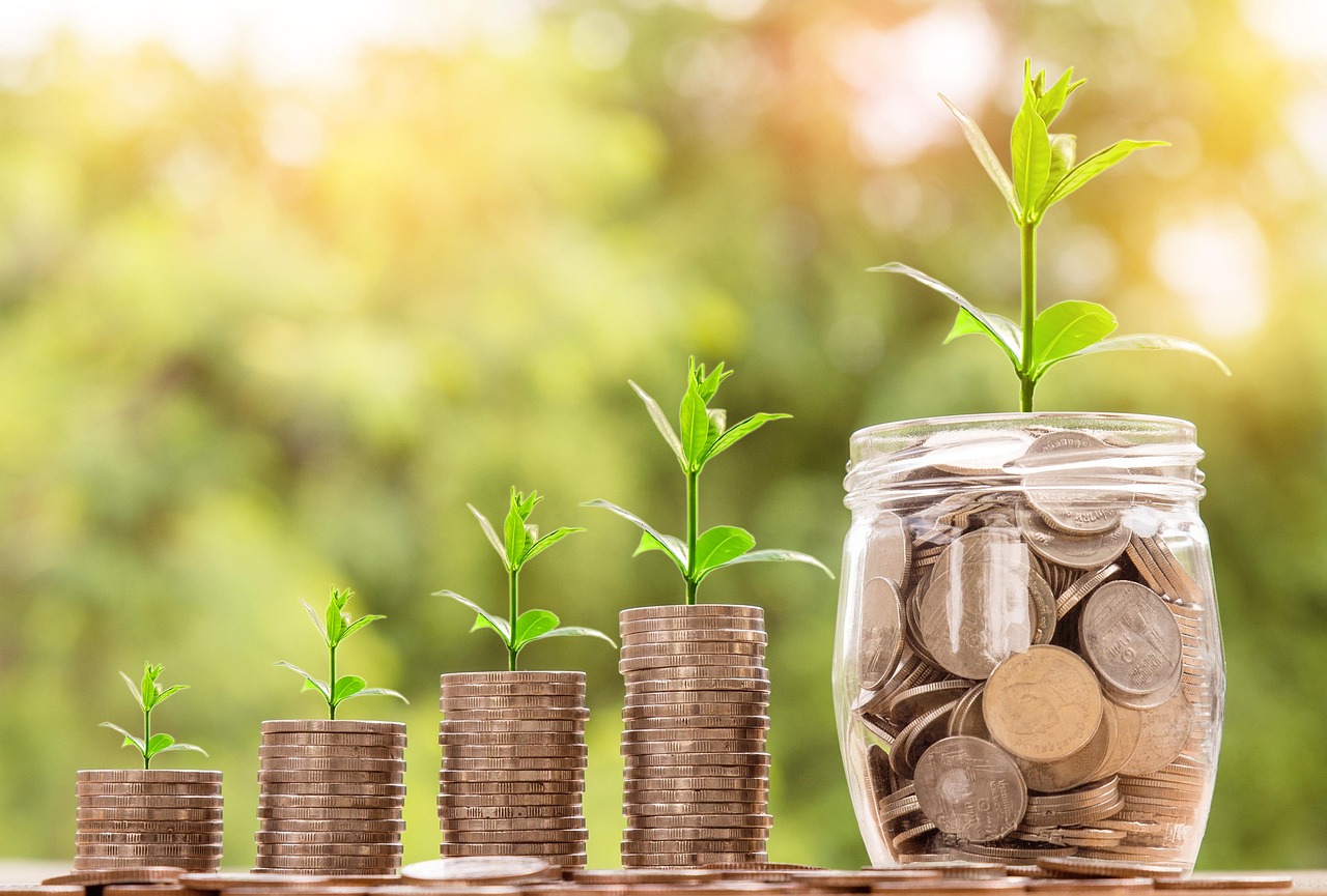 A small plant growing out of a piggy bank symbolizing financial growth and savings.